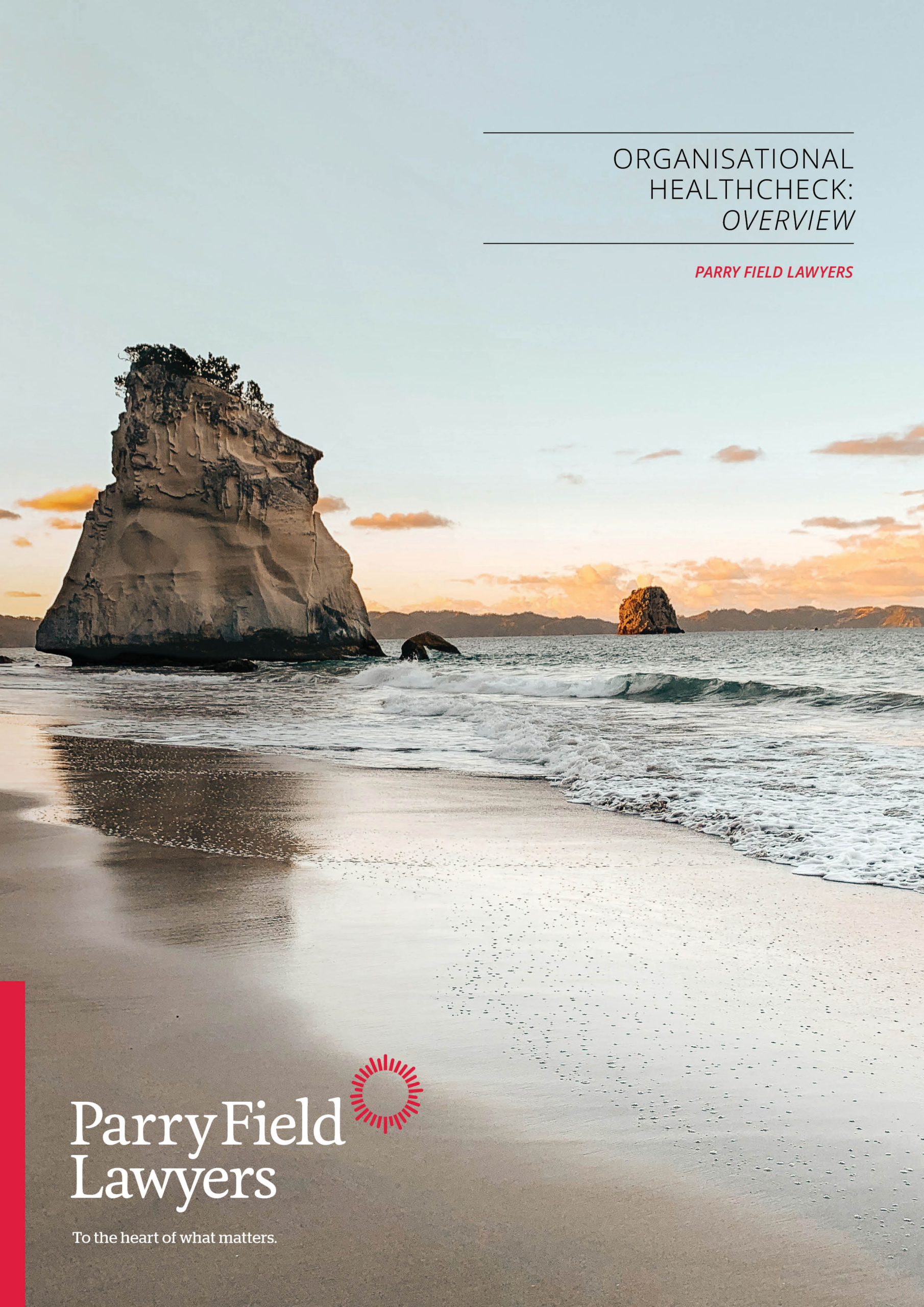 Organisational Healthcheck Overview Cover